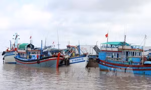 Sóc Trăng phát triển đội tàu đánh bắt xa bờ 