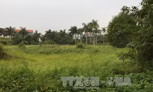 Tự ý bán đất công, trưởng thôn ra trước vành móng ngựa