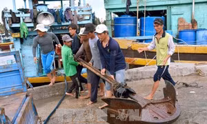 Ngư dân Khánh Hòa, Bình Thuận khẩn trương di dời tàu thuyền tránh trú bão số 14