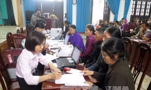 Ngân hàng Chính sách xã hội hoàn thành 71% kế hoạch tăng trưởng 
