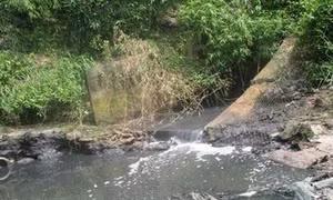 Nguồn nước sinh hoạt đen kịt và bốc mùi hôi tanh, nghi do trang trại lợn