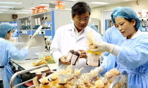 Lập Hội đồng xét tặng danh hiệu “Thầy thuốc Nhân dân”, “Thầy thuốc ưu tú”