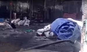 Thành phố Hồ Chí Minh