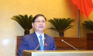 UBND các cấp có thể huy động lực lượng chữa cháy rừng