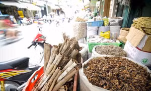 TP Hồ Chí Minh phát triển phố Đông y thành điểm hấp dẫn khách du lịch 