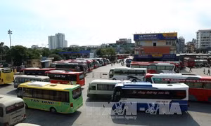 Hà Nội thu hồi 658 phù hiệu ô tô kinh doanh vận tải