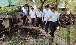 Hà Nội: Số ca mắc sốt xuất huyết có thể tiếp tục gia tăng