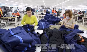Phấn đấu đạt và vượt chỉ tiêu về kim ngạch xuất khẩu