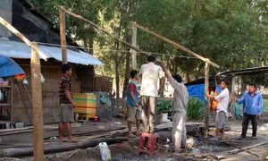 Tây Ninh di dời 37 căn nhà xây dựng trái phép trong rừng phòng hộ Dầu Tiếng 