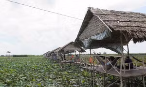 Phát triển mô hình nhà nông làm du lịch 