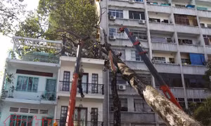 Thành phố Hồ Chí Minh