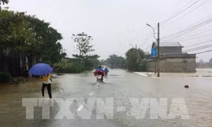 300 người chết mỗi năm do biến đổi khí hậu cực đoan