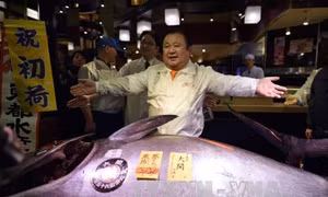 Ông chủ nhà hàng sushi chịu chơi, chi 14 tỷ đồng mua cá ngừ quý hiếm