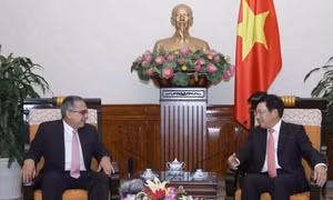 Phó Thủ tướng Phạm Bình Minh tiếp Thứ trưởng Thứ nhất Bộ Ngoại giao Cuba