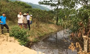 Người dân chặn xe rác vào khu xử lý vì gây ô nhiễm môi trường