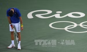 Lỡ đánh bóng vào khán giả, Djokovic phải xin lỗi