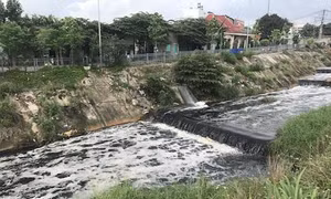 Thành phố Hồ Chí Minh