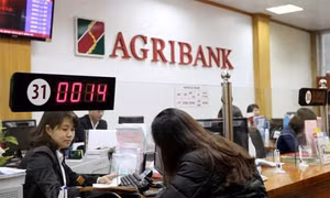Agribank sẵn sàng phương án cung ứng tiền Tết 