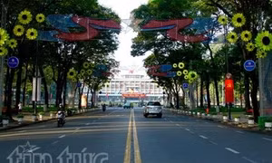 Thành phố Hồ Chí Minh