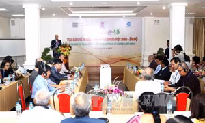 Di sản văn minh chung Việt Nam - Ấn Độ 