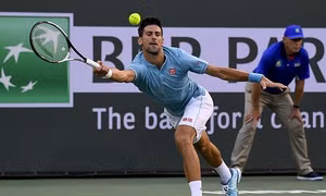 Djokovic bị fan nhí đánh cho 'hết hồn'