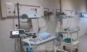 Kết luận ban đầu về nguyên nhân 4 trẻ sơ sinh tử vong tại Bắc Ninh