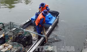 TP Hồ Chí Minh tập trung xử lý ô nhiễm tại các 'kênh nước đen'