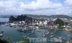 Chờ cơ chế vượt trội của 'đặc khu' Vân Đồn 