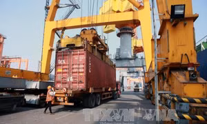 Thu ngân sách trong lĩnh vực hải quan của Hải Phòng giảm hơn 12%
