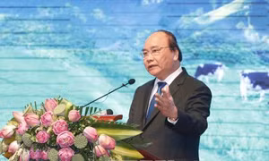Sửa đổi Đề cương, Kế hoạch biên soạn, xuất bản Lịch sử Chính phủ Việt Nam