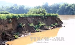 Sông Đồng Nai đã vắng bóng những 'vòi bạch tuộc'