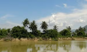 Ninh Thuận: Ba người mất tích khi đi xe bò qua sông Cái