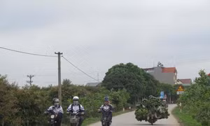 Phát triển giao thông nông thôn giúp người dân xóa đói giảm nghèo
