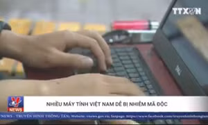 Nhiều máy tính Việt Nam dễ bị nhiễm mã độc