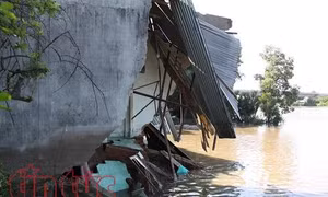TP Hồ Chí Minh