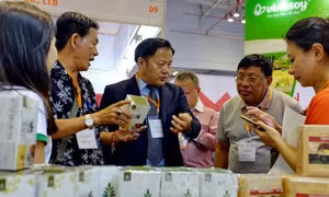 Đề xuất giảm giấy tờ kiểm tra chuyên ngành hàng hóa xuất nhập khẩu