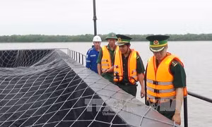 Tạm giữ phương tiện vận chuyển 8.000 tấn than cám không chứng từ