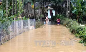 Mưa lớn gây chia cắt, ngập sâu tại Quảng Ngãi