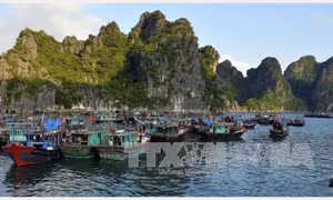 Giới thiệu và quảng bá du lịch Việt Nam tại Italy