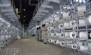 Áp thuế chống bán phá giá tạm thời đối với sợi filament nhập khẩu
