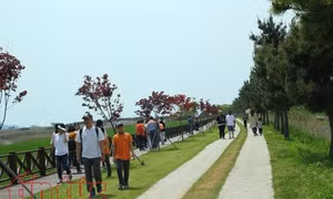 Hàn Quốc giới thiệu tour đến các địa điểm thi đấu của U20 Việt Nam