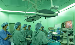 TP Hồ Chí Minh