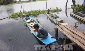 Nước sông Vàm Cỏ Đông bất ngờ đen kịt, bốc mùi hôi thối