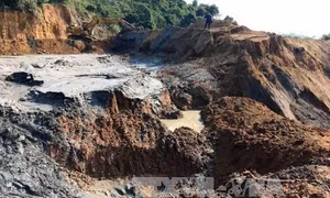 Giải thưởng Kovalevskaia 2018: Nỗ lực vì môi trường trong sạch