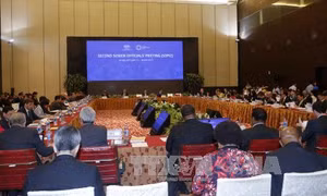 Khai mạc Hội nghị lần thứ hai các quan chức cao cấp APEC 