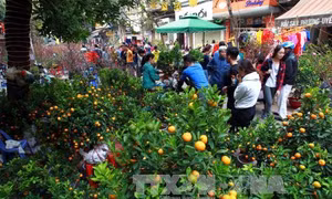 Xuân mới, hy vọng mới trên đất Thăng Long ngàn năm tuổi 