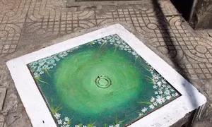 Thành phố Hồ Chí Minh