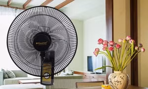 Những dòng quạt treo tường giá rẻ cho gia đình
