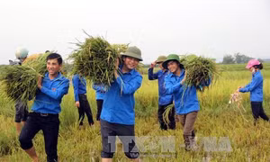 Sôi nổi phong trào xây dựng nông thôn mới của Tuổi trẻ Hà Tĩnh