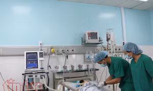 TP Hồ Chí Minh
